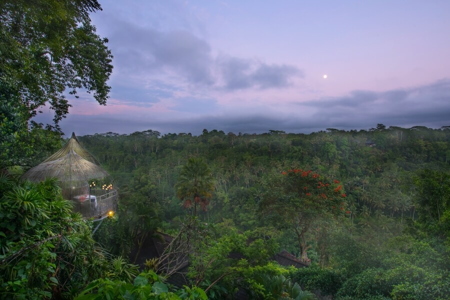 Kupu Kupu Barong Ubud The Ultimate Travel Guide: Bali in 6 Days