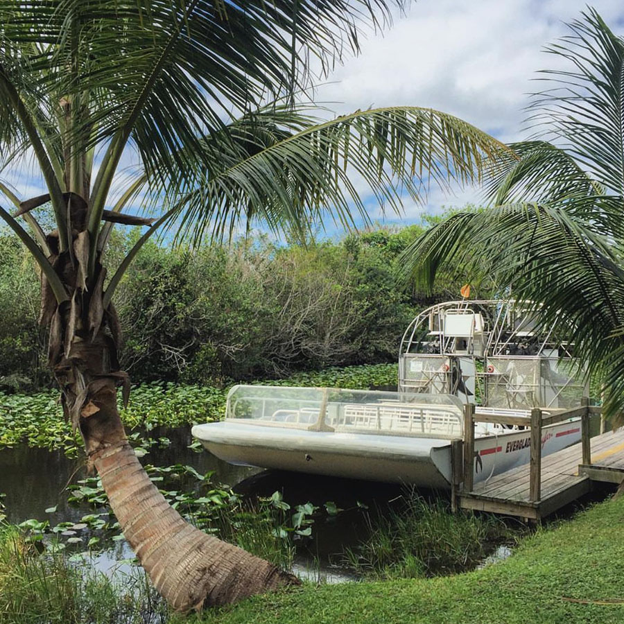 miami travel guide - everglades tour