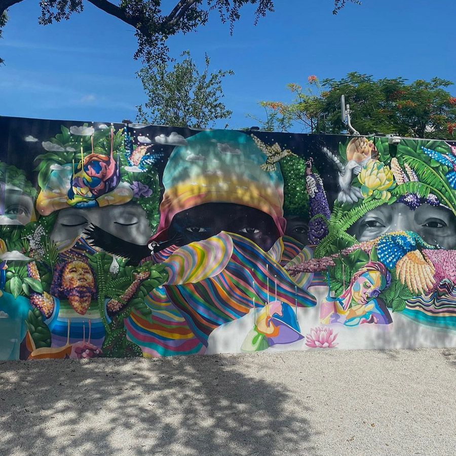 miami travel guide - wynwood wall art